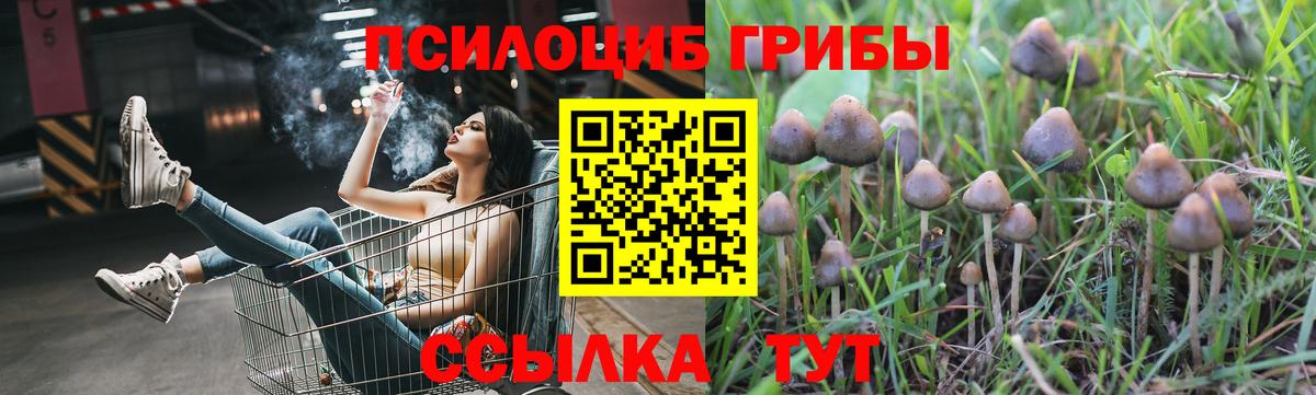 Псилоцибиновые грибы ЛСД  Вход с VPN  Галлюциногенные грибы Cubensis  магазин продажи   Егорьевск 